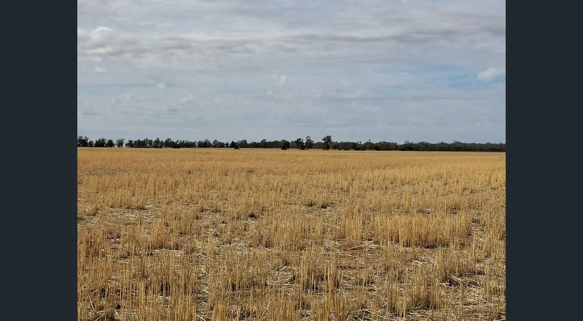 Additional image 21 of Alloway, Gilgandra NSW 2827