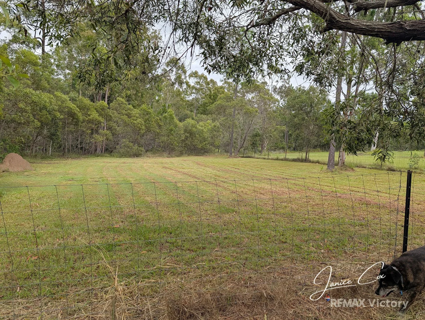 Additional image 13 of 44 Arborthirty Road, Glenwood QLD 4570
