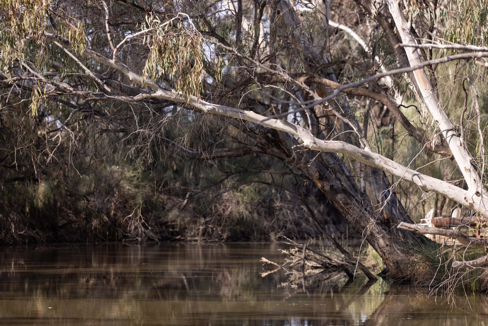 Additional image 7 of 16 Wilga Road ( William Lewis Estate ), Gol Gol NSW 2738