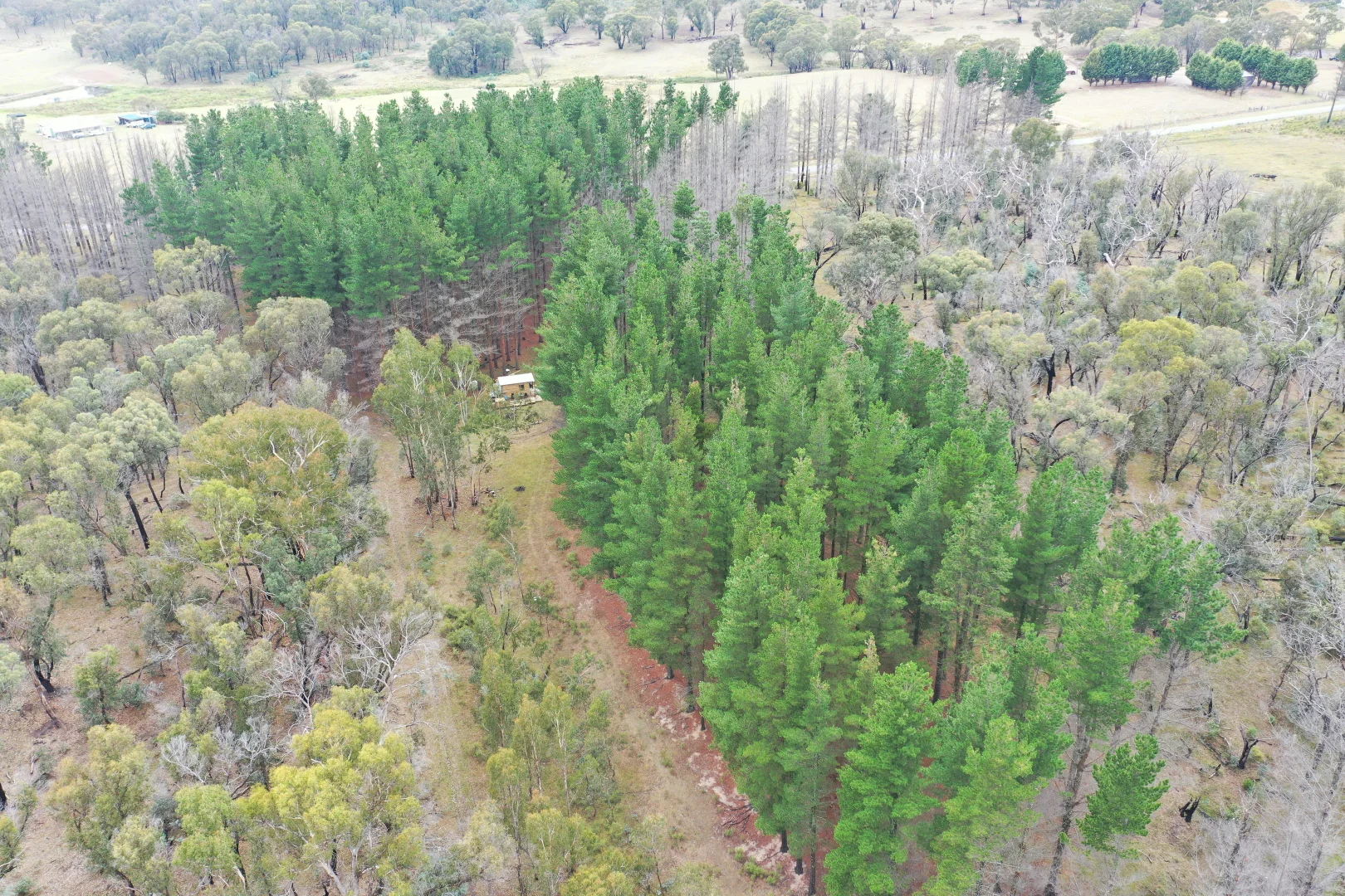 Additional image 9 of 186 Old Station Creek Road, Taralga NSW 2580