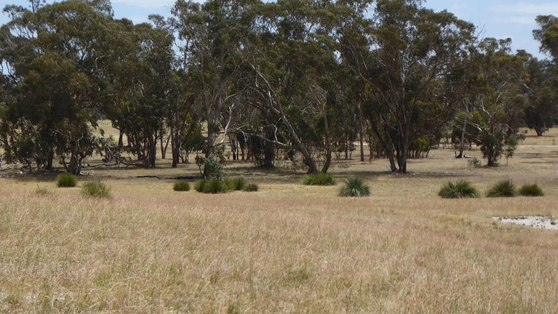 Additional image 17 of Lot 1 Walkington Hills Road, Frances SA 5262