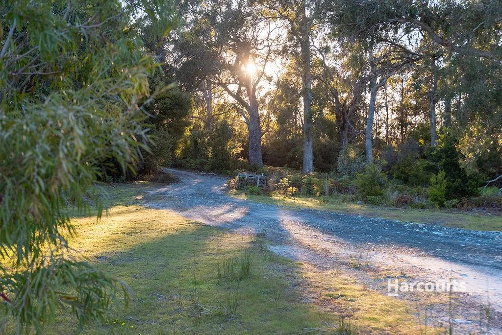 Additional image 25 of 191 Sisters Beach Road, Boat Harbour TAS 7321