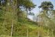 Additional image 11 of Elle Bank Wood, Hayfield, Derbyshire SK22