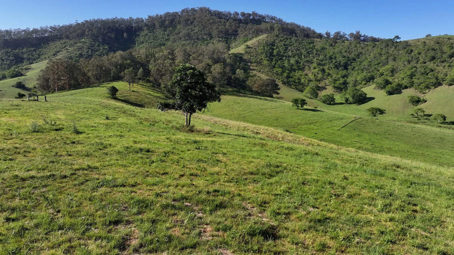 Additional image 33 of 5985 Oxley Highway, Ellenborough NSW 2446