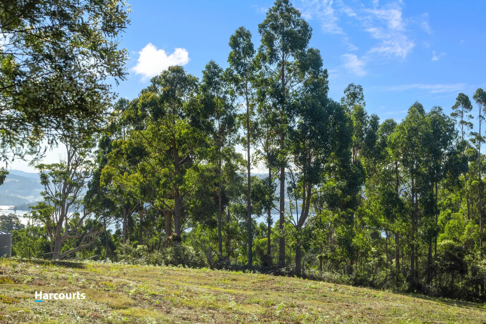 Additional image 18 of 15 Stella Court, Surges Bay TAS 7116