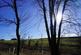 Additional image 2 of Rookham Plantation, Near Wells, Somerset BA5