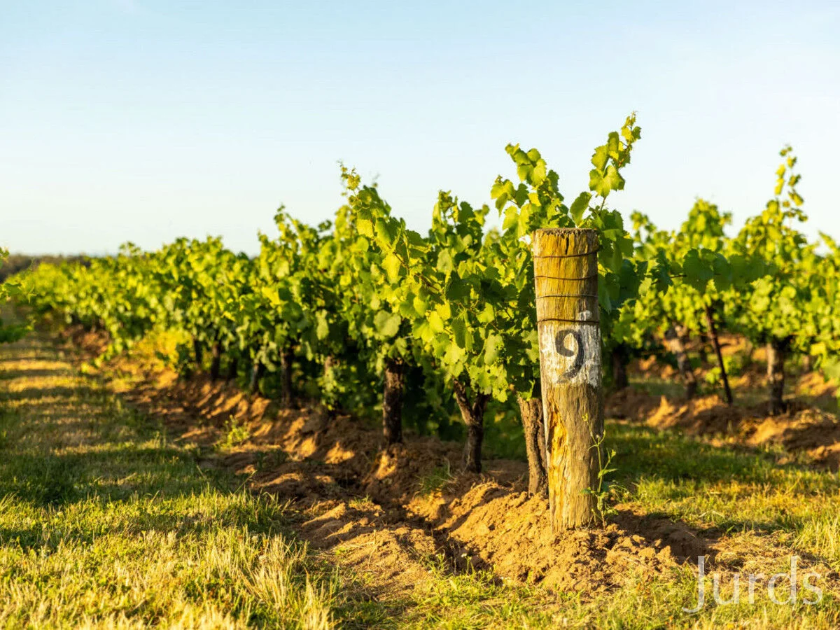 Additional image 7 of 2/DP707940 Hermitage Road, Pokolbin NSW 2320