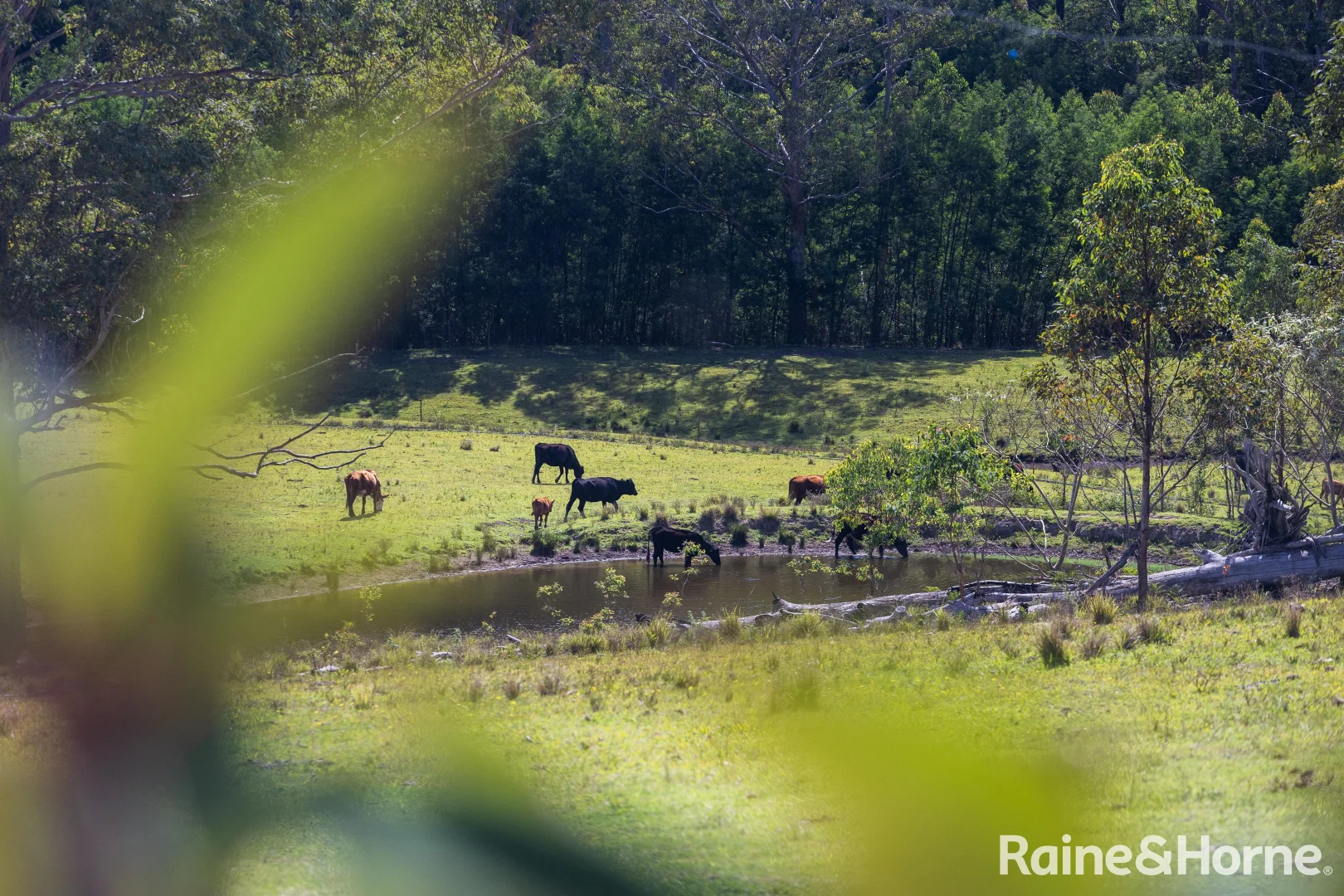 Additional image 15 of 225 Woodburn Road, Morton NSW 2538