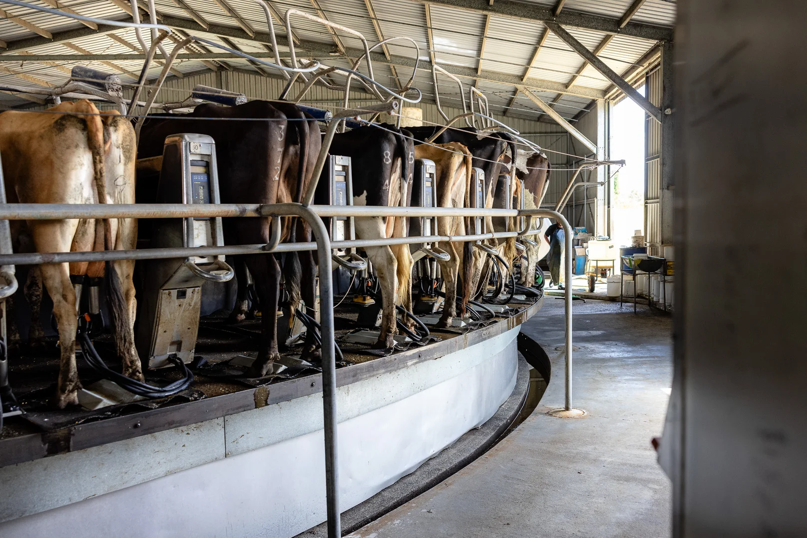 Additional image 30 of 846 Toms Creek Road, Ellenborough NSW 2446