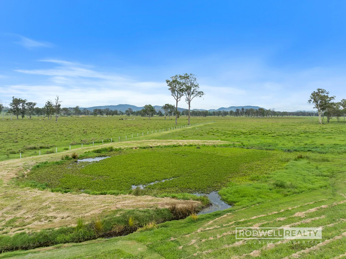 Additional image 18 of 55 Bromelton House Road, Bromelton QLD 4285