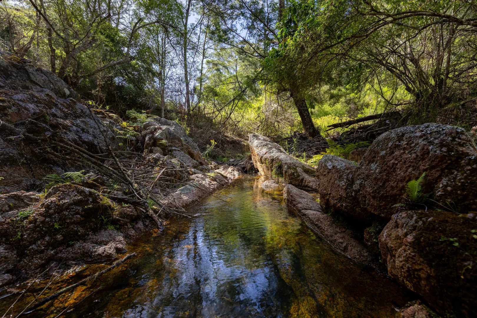 Additional image 14 of 464 Dorrigo Road, Brogo NSW 2550