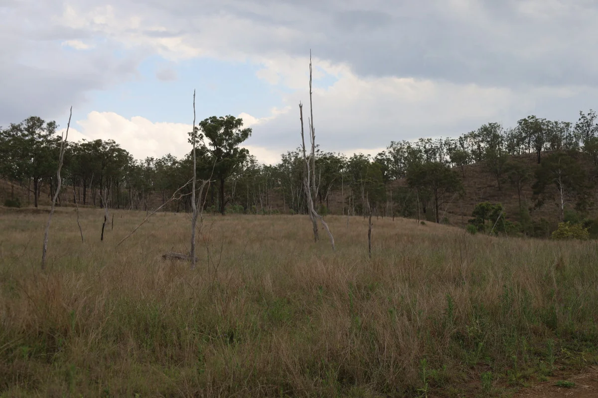 Additional image 21 of 479 Pine Mountain Creek Road, Monto QLD 4630