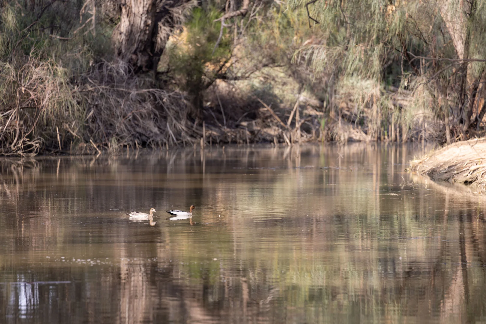 Additional image 8 of 16 Wilga Road ( William Lewis Estate ), Gol Gol NSW 2738