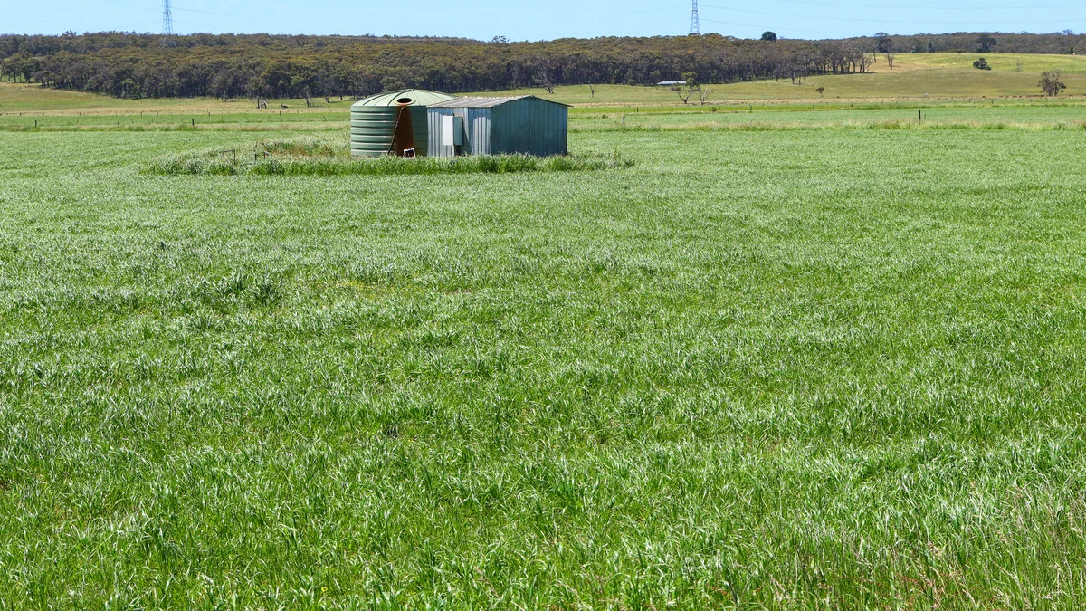 Additional image 28 of 111 Smith Street, Heywood VIC 3304