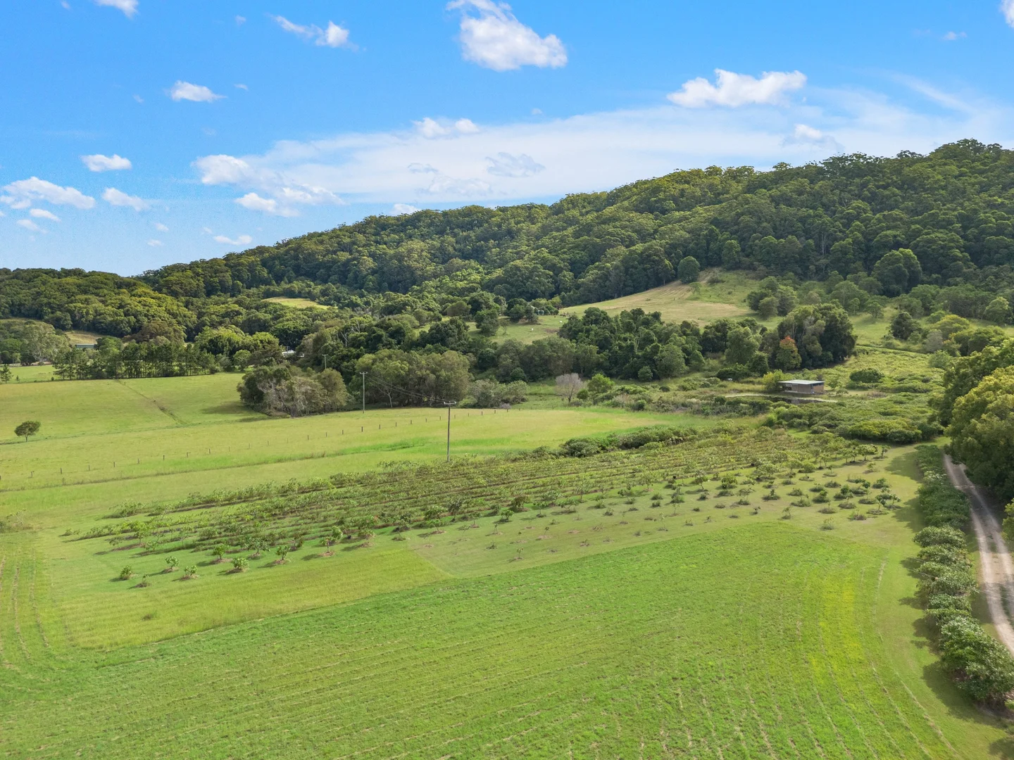 Additional image 26 of 16 Sartories Road, Pimlico NSW 2478