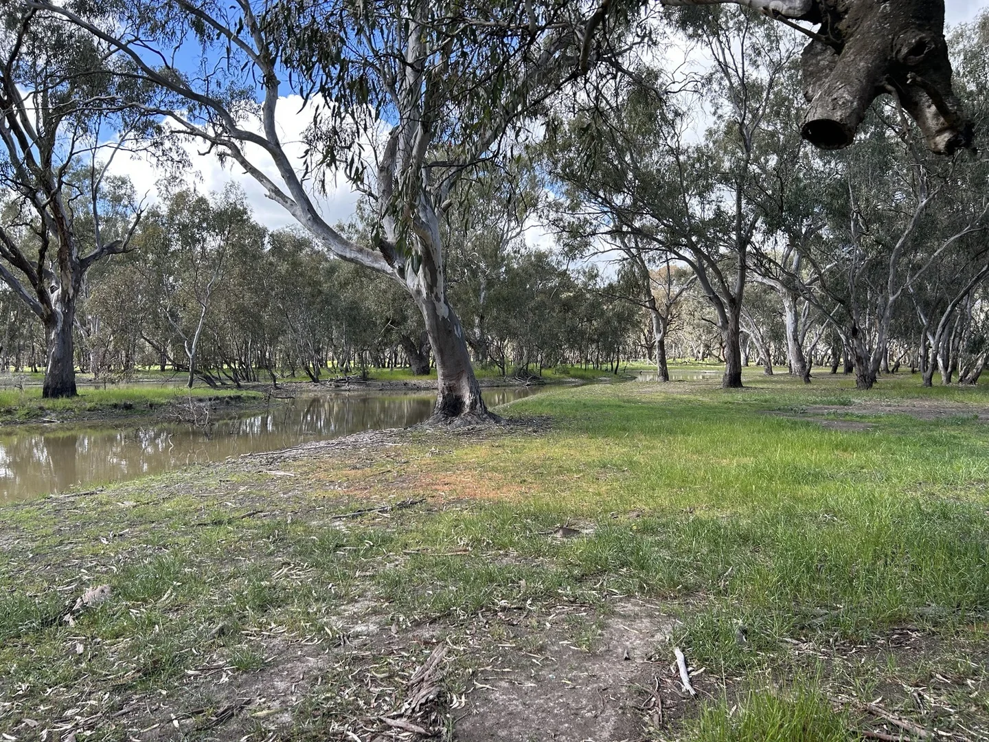 Additional image 12 of 40 Brooke Court, Numurkah VIC 3636