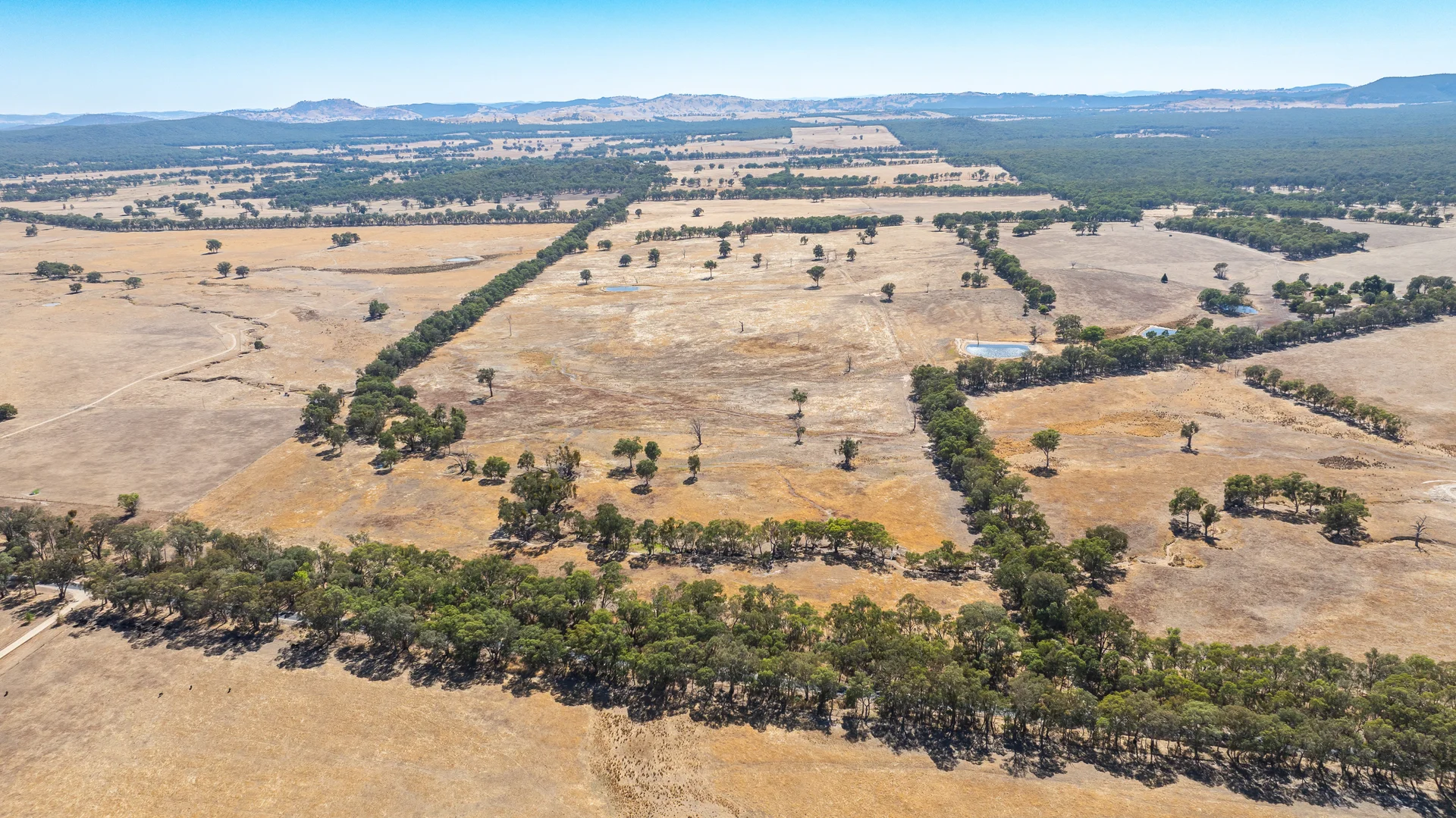 Additional image 26 of 175 Toveys Road, Chiltern VIC 3683