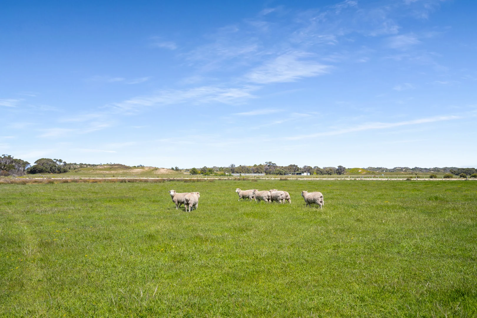 Additional image 4 of 701 Nora Creina Road, Robe SA 5276