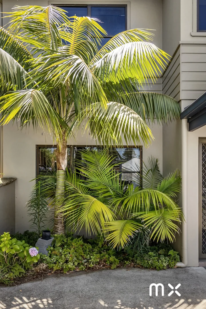 Additional image 10 of 28 Wigram Road, Austinmer NSW 2515