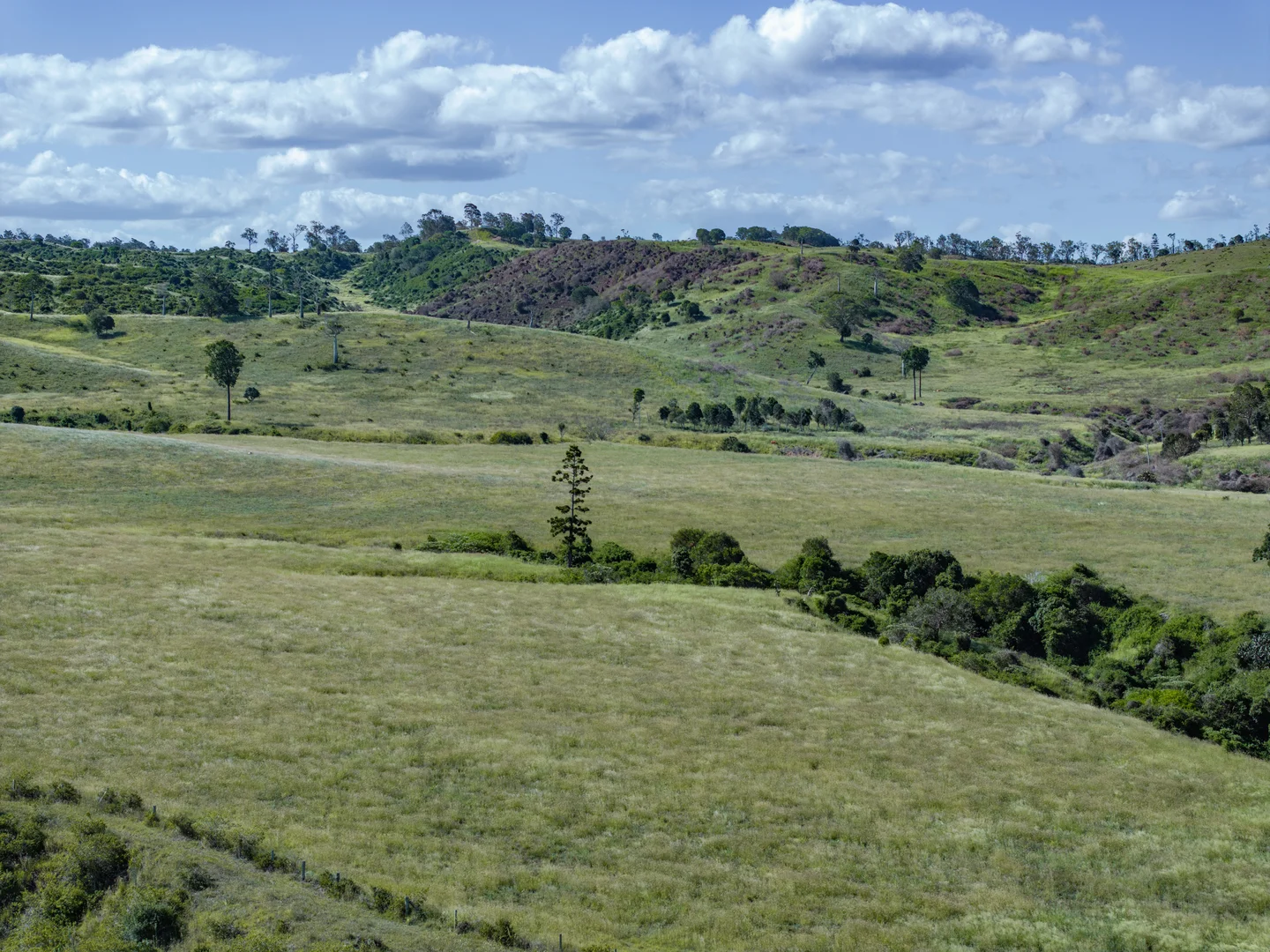 Additional image 15 of 'Double Knob' Nangur Road, Tansey QLD 4601