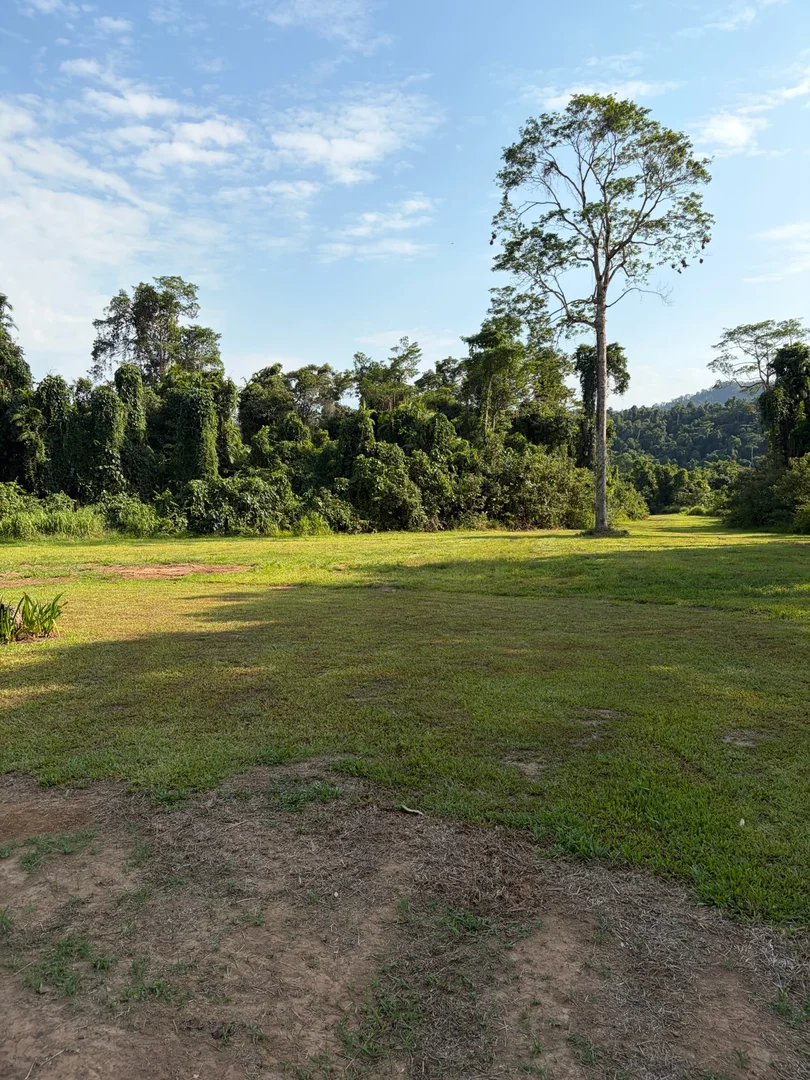 Additional image 10 of 252 Jackson Road, Shell Pocket QLD 4855