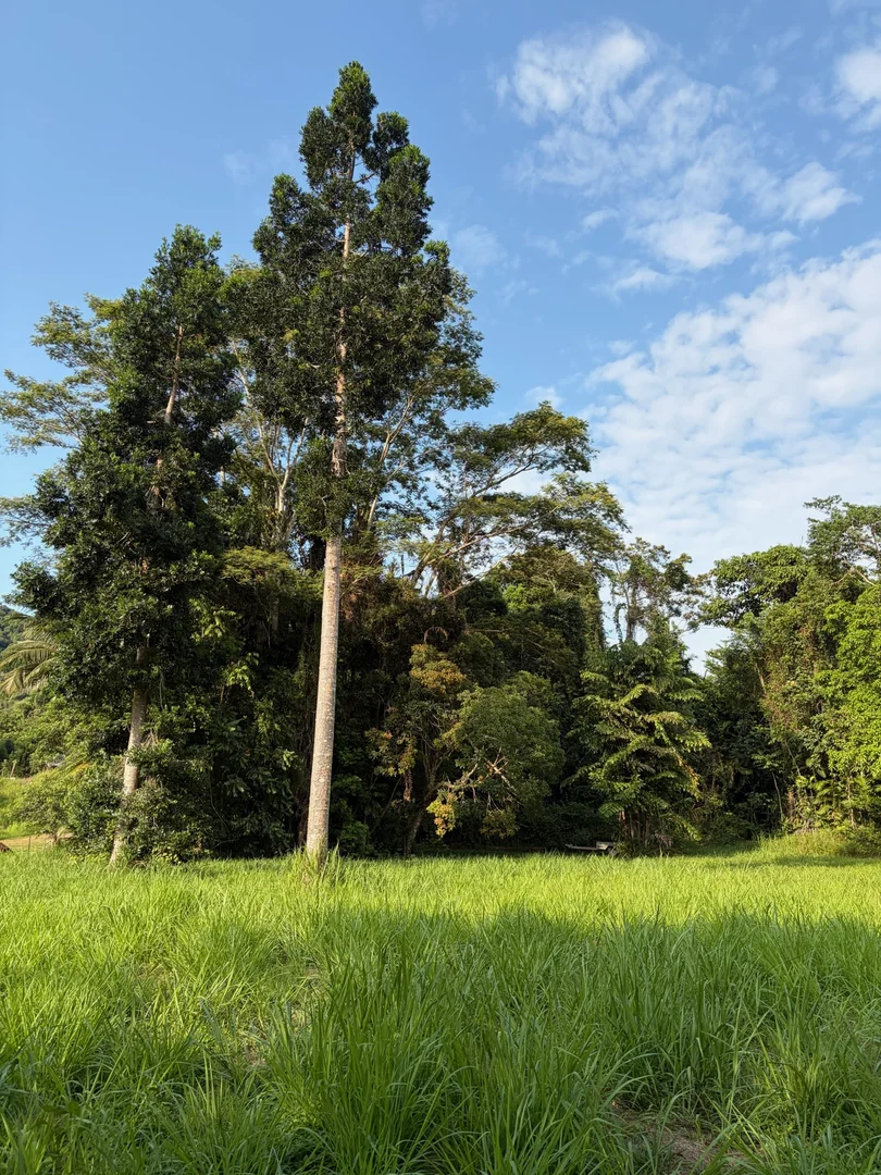 Additional image 9 of 252 Jackson Road, Shell Pocket QLD 4855