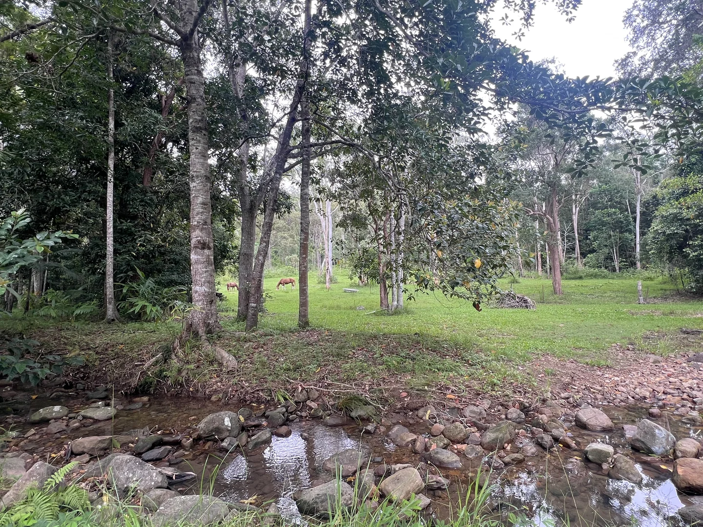 Additional image 29 of 297 Smith Cross Road, Devereux Creek QLD 4753