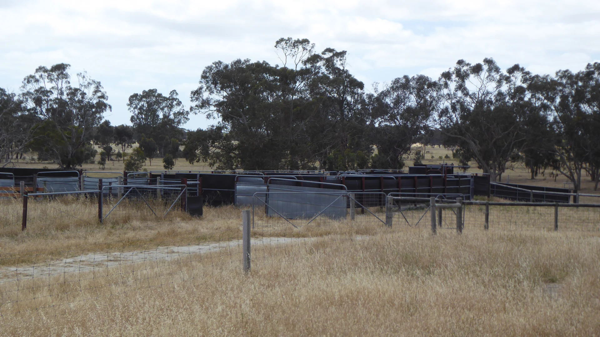 Additional image 15 of Lot 1 Walkington Hills Road, Frances SA 5262