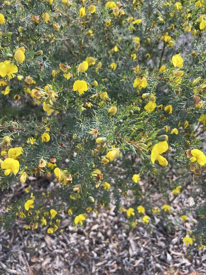 Additional image 2 of 1013 Dandry road, Coonabarabran NSW 2357