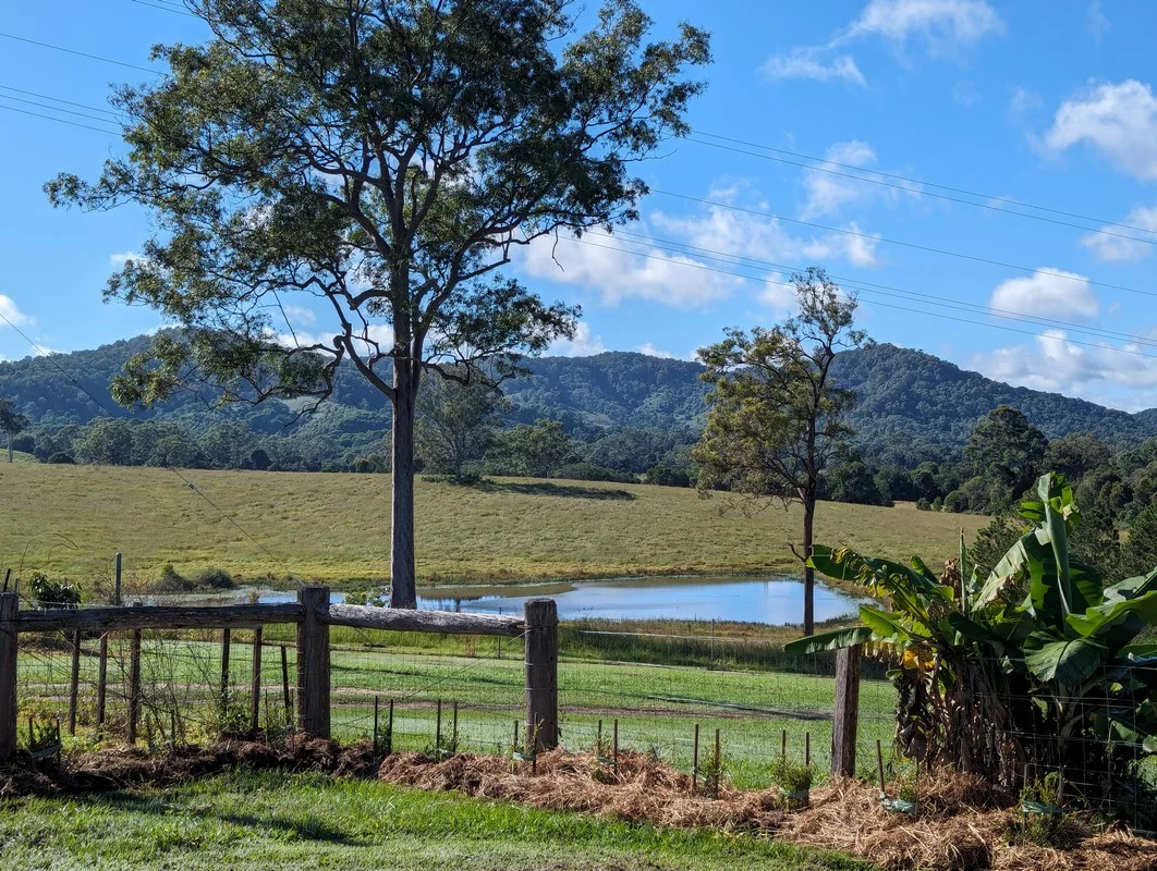 Additional image 41 of 2433 Old Bruce Highway, Coles Creek QLD 4570