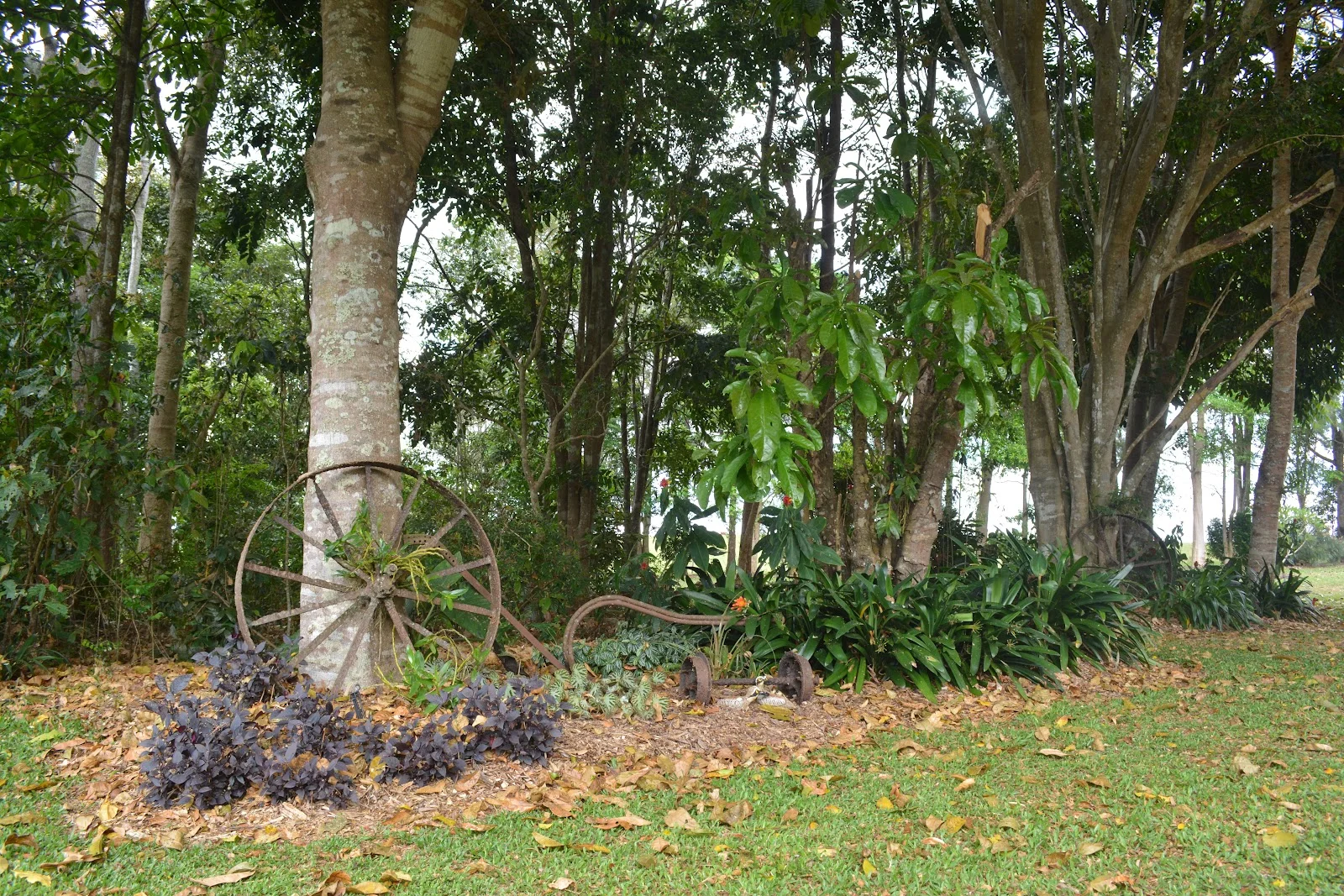 Additional image 45 of 20 Russell Road, Lake Eacham QLD 4884