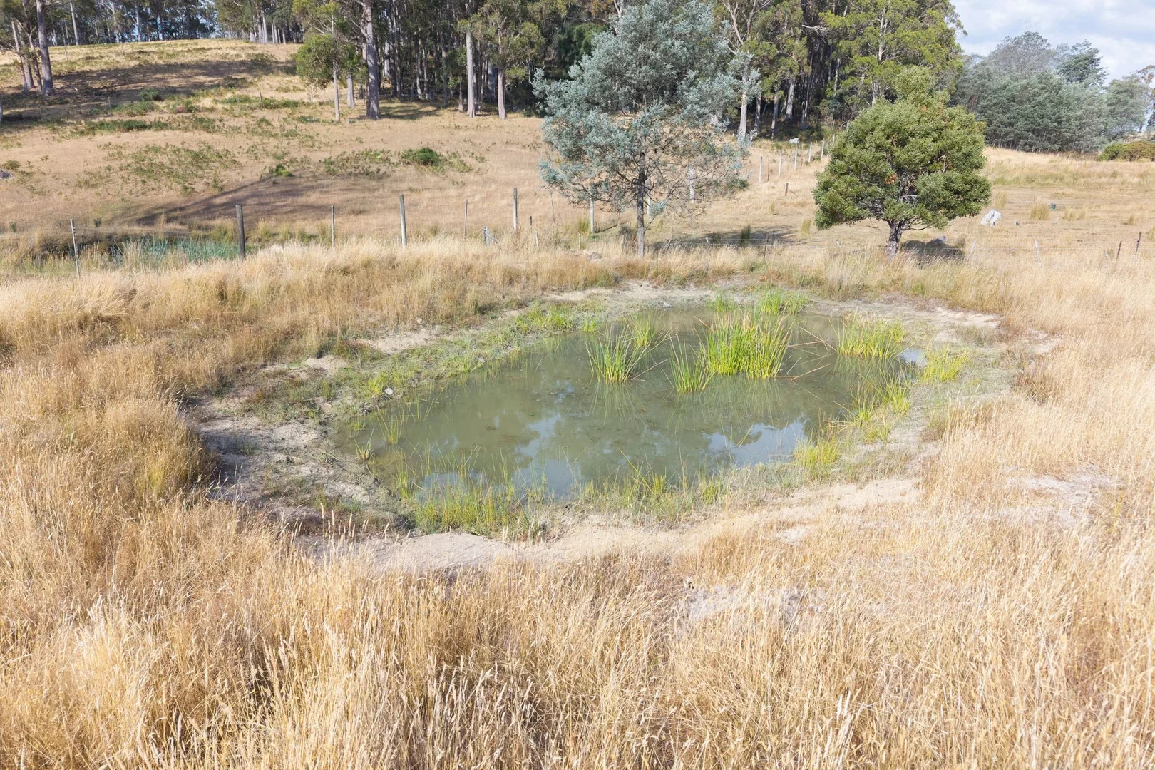 Additional image 10 of 121 Davis Road, Deloraine TAS 7304