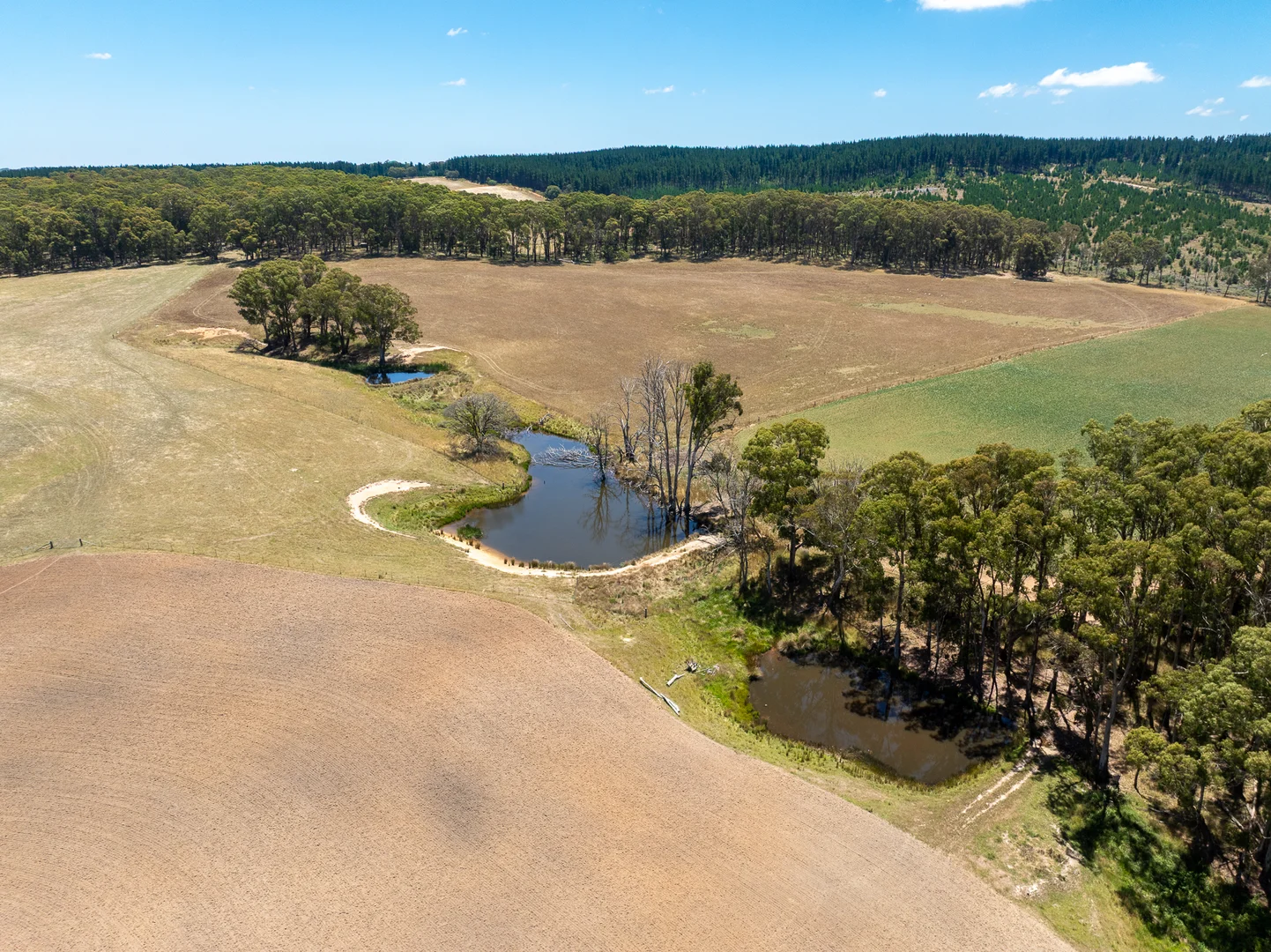 Additional image 32 of 951 Shooters Hill Road, Chatham Valley NSW 2787