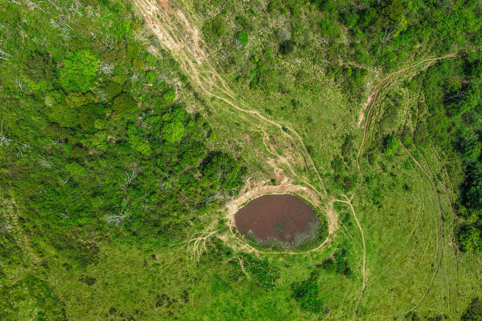 Additional image 20 of 248 Illinbah Road, Illinbah QLD 4275