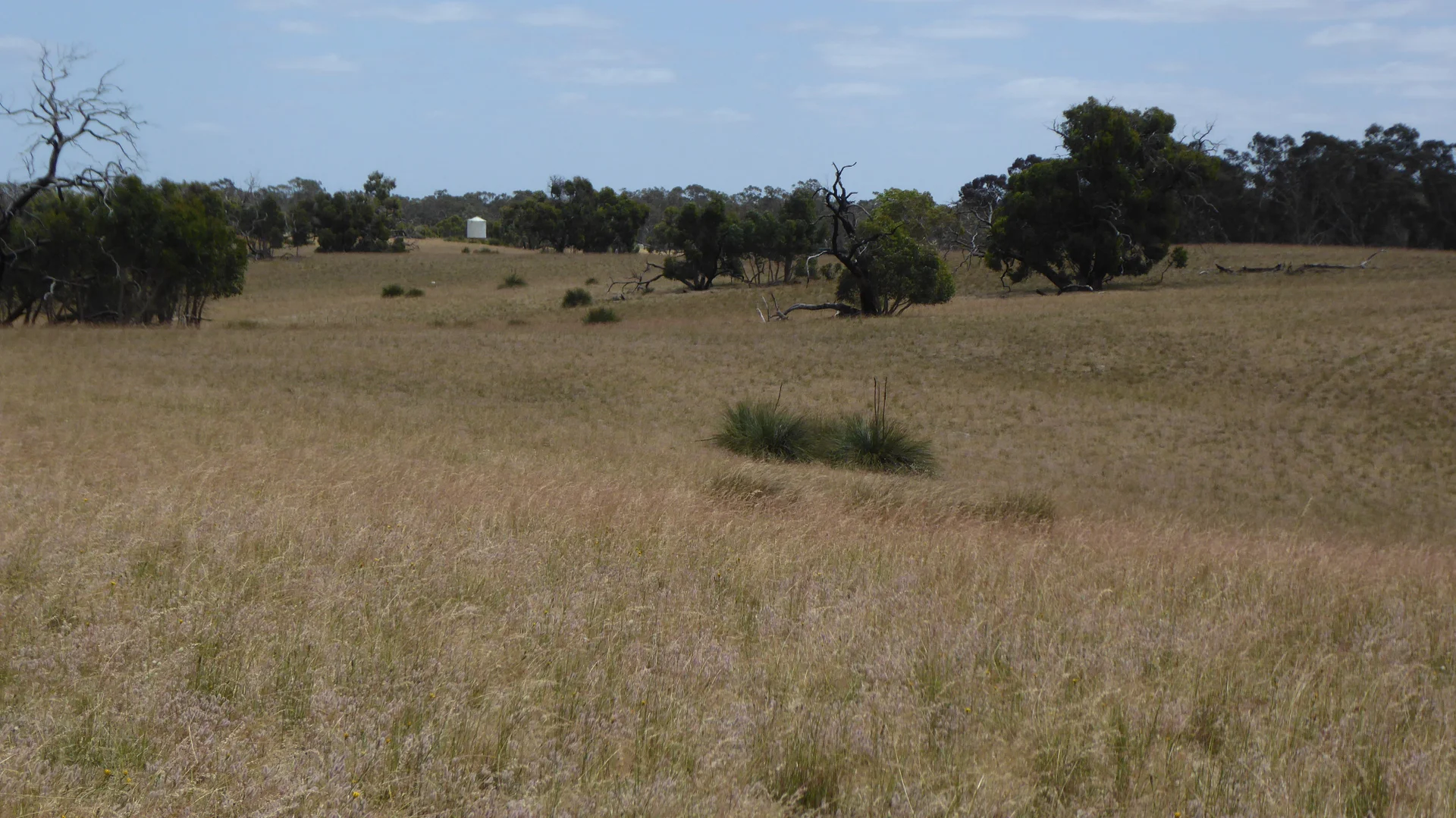 Additional image 14 of Lot 1 Walkington Hills Road, Frances SA 5262