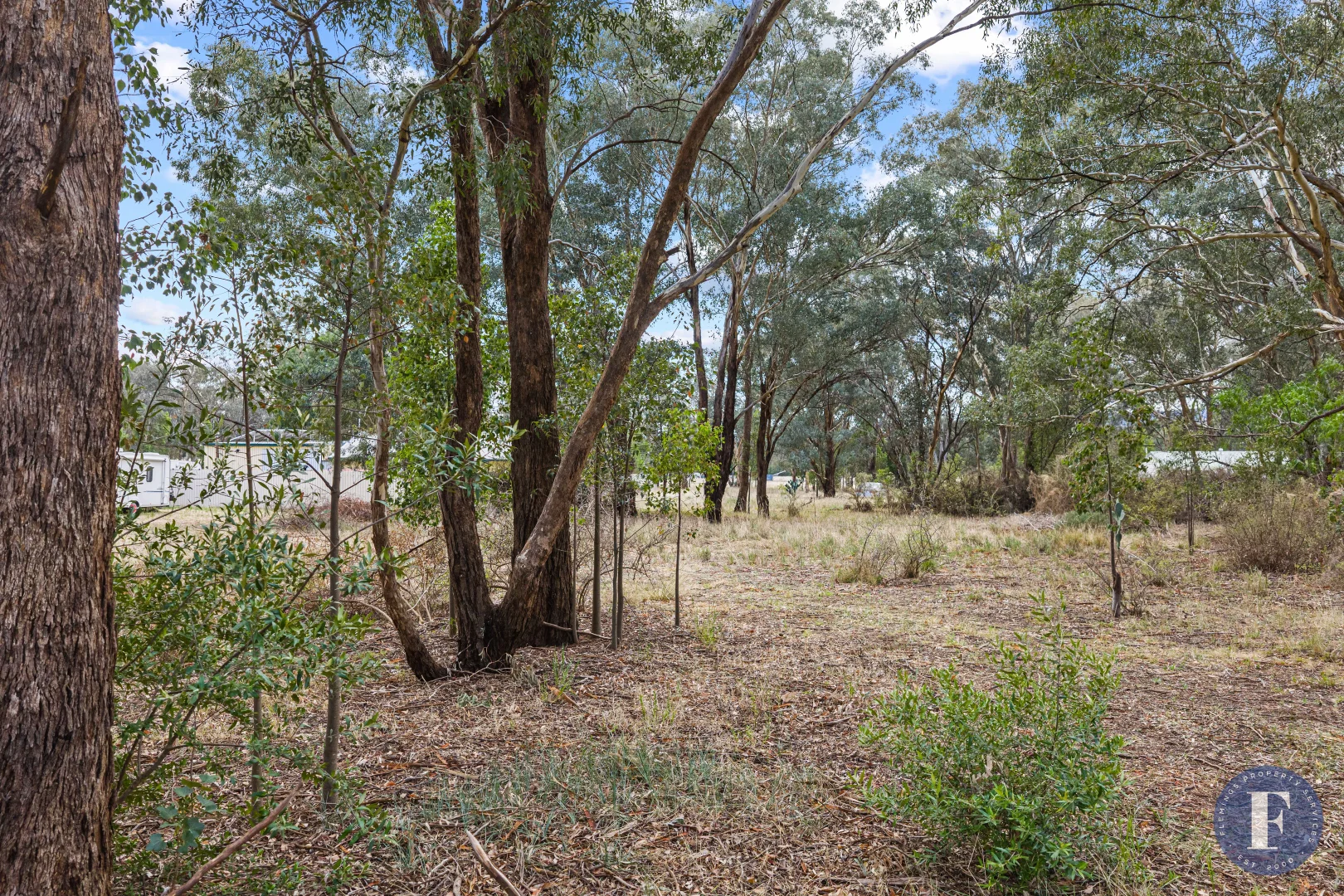 Additional image 4 of 29 Lachlan Street, Koorawatha NSW 2807