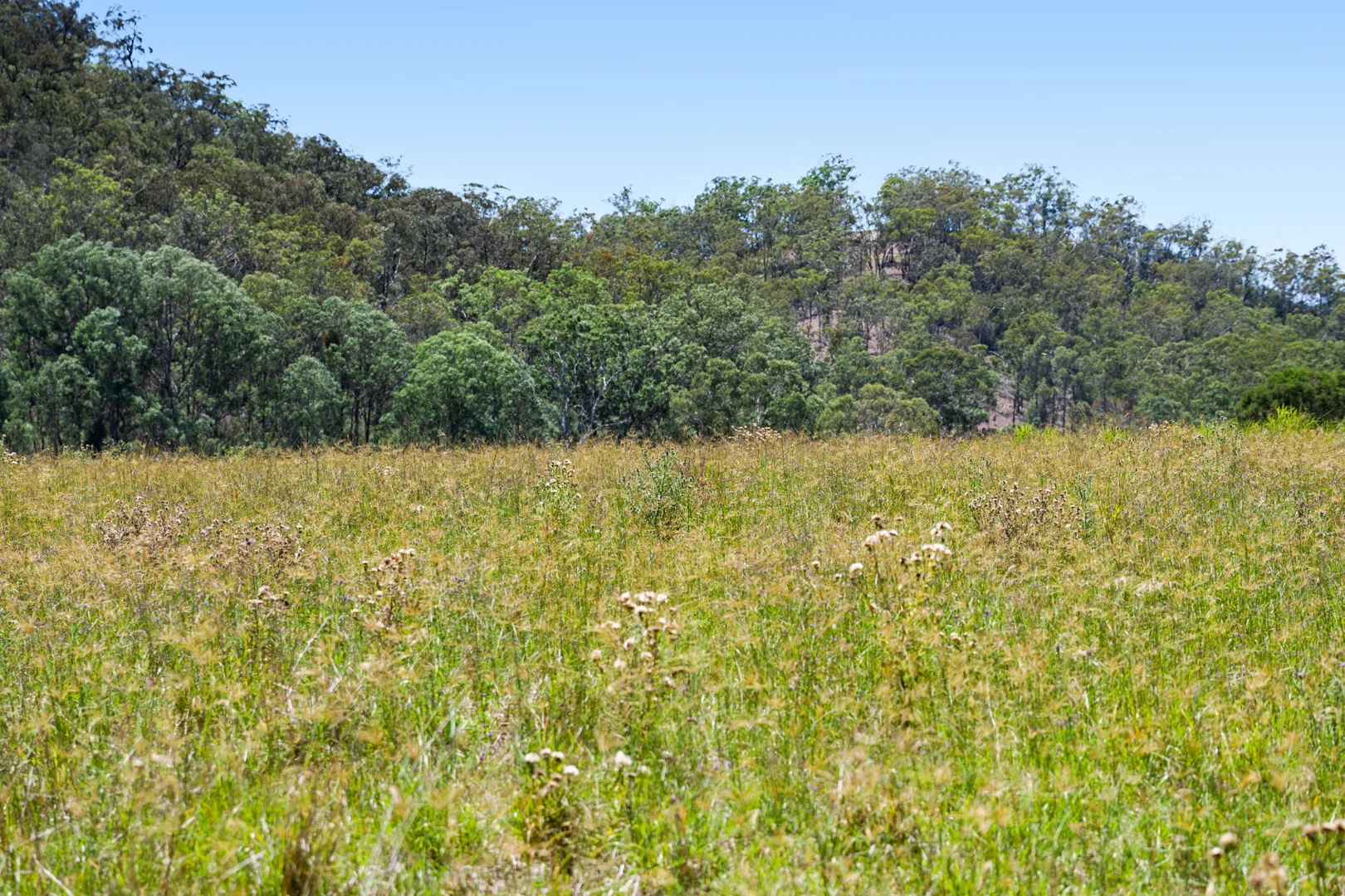 Additional image 27 of 374 Voll Road, Crows Nest QLD 4355