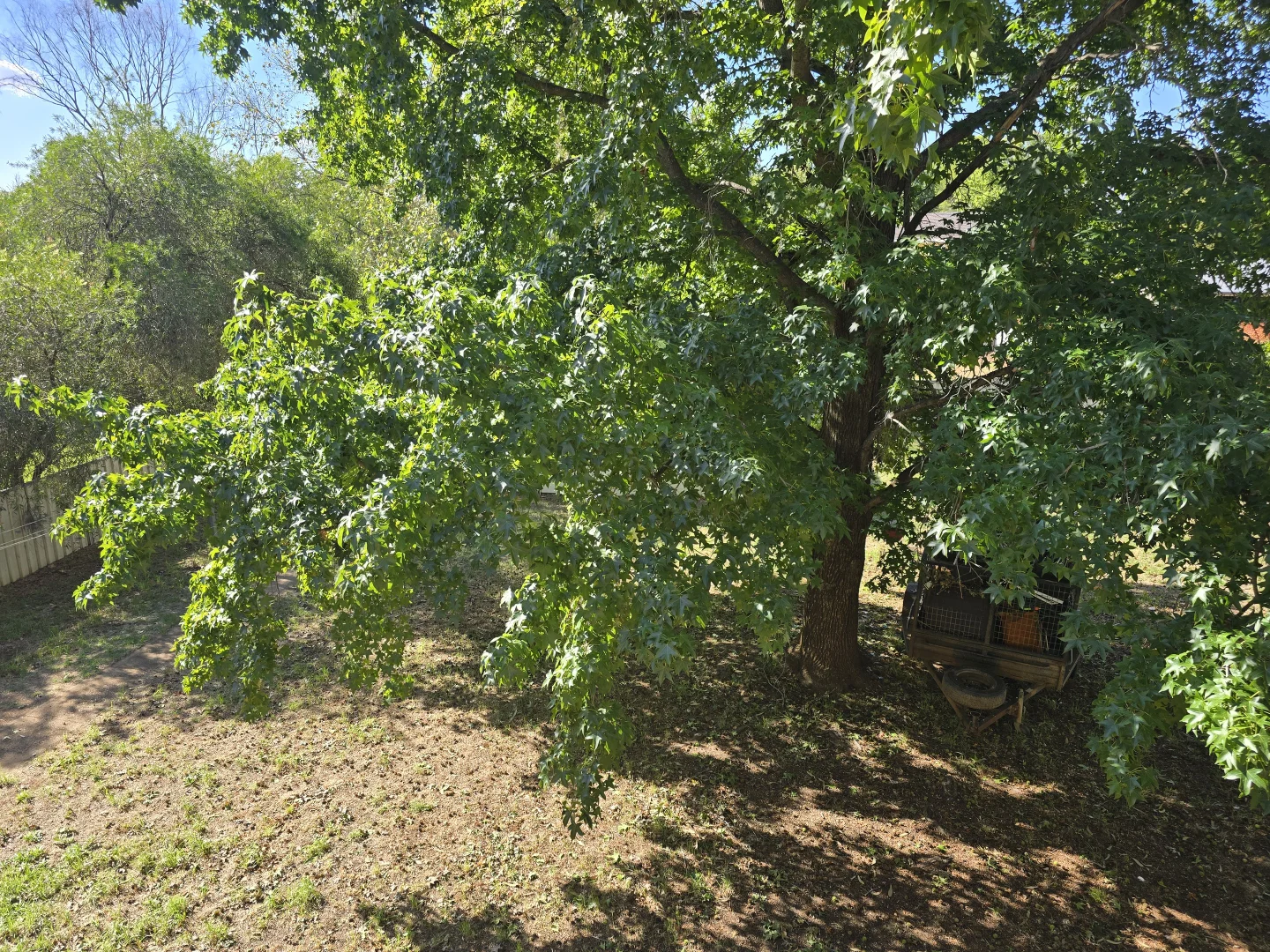 Additional image 10 of 9 Graf Street, Condobolin NSW 2877