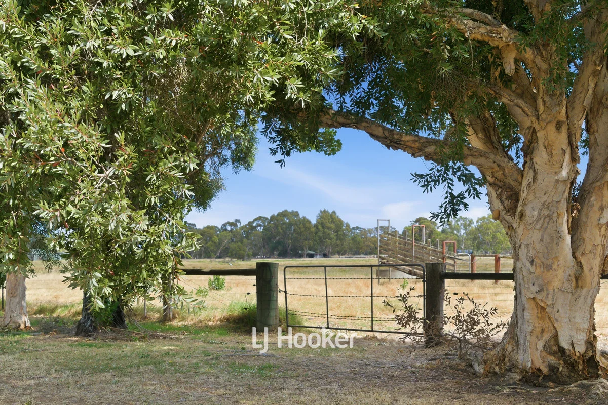 Additional image 12 of 7 Bussell Highway, Reinscourt WA 6280