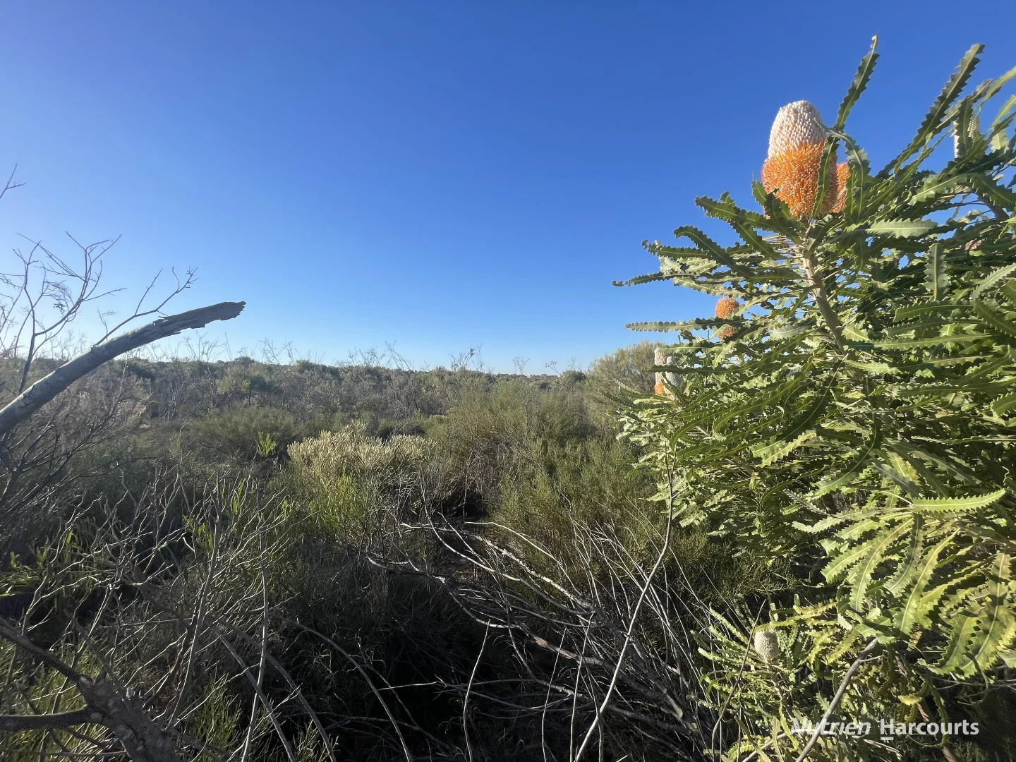 Additional image 7 of Lot 2691 Fraser Road, Walkaway WA 6528