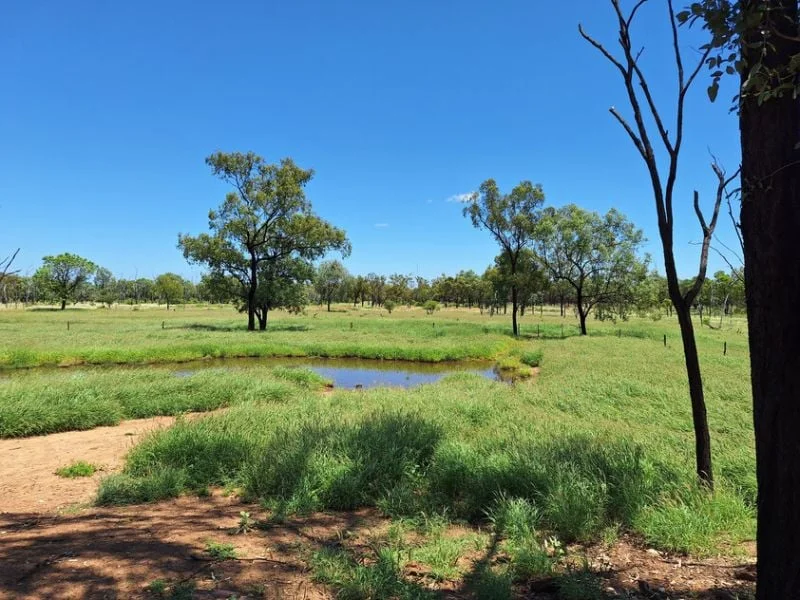 Additional image 8 of 6743 Dunrobin Road, Jericho QLD 4728