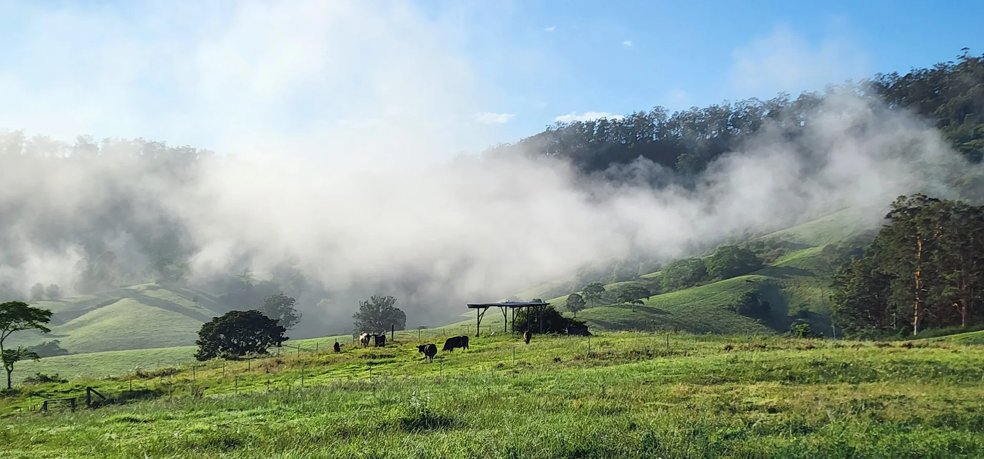 Additional image 14 of 5985 Oxley Highway, Ellenborough NSW 2446