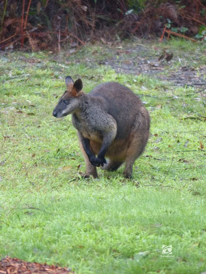 Additional image 23 of 148 Veldens Road, Toorloo Arm VIC 3909