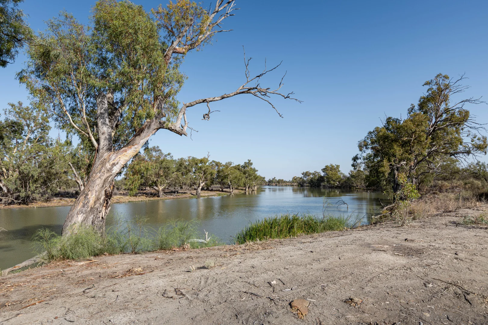 Additional image 12 of 225 Pooncarie Road, Wentworth NSW 2648