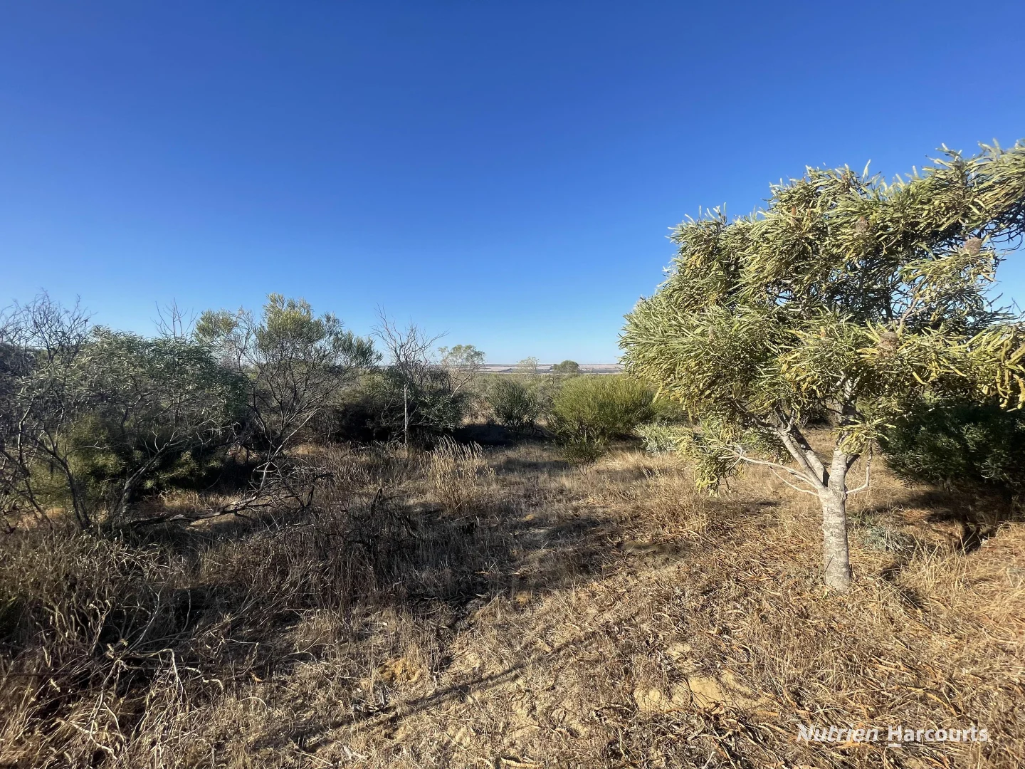 Additional image 10 of Lot 2691 Fraser Road, Walkaway WA 6528