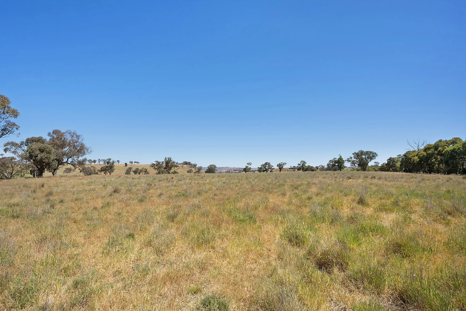 Additional image 20 of 2593 Four Mile Creek Road, Orange NSW 2800