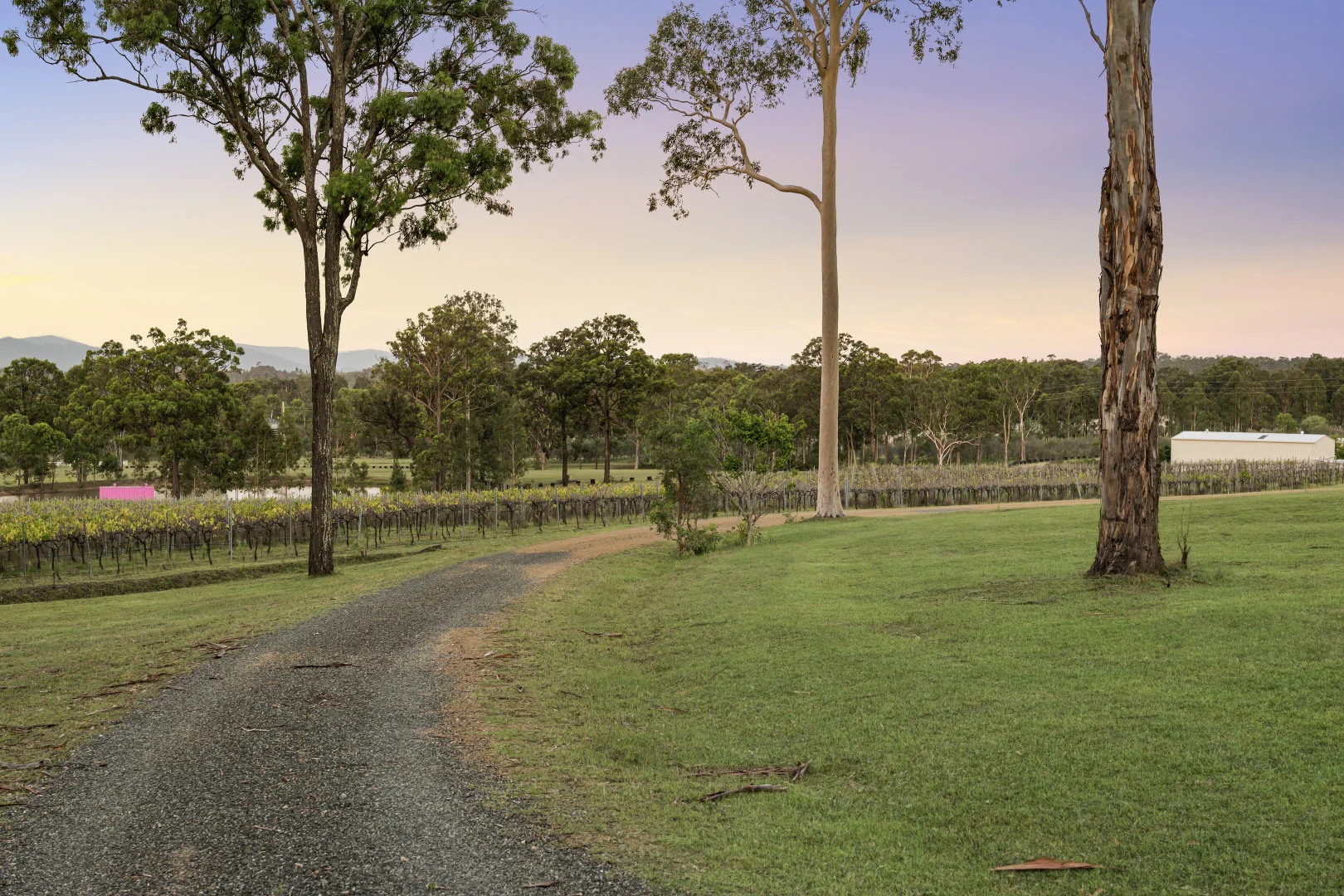Additional image 46 of 356 Tuckers Lane, Greta NSW 2334