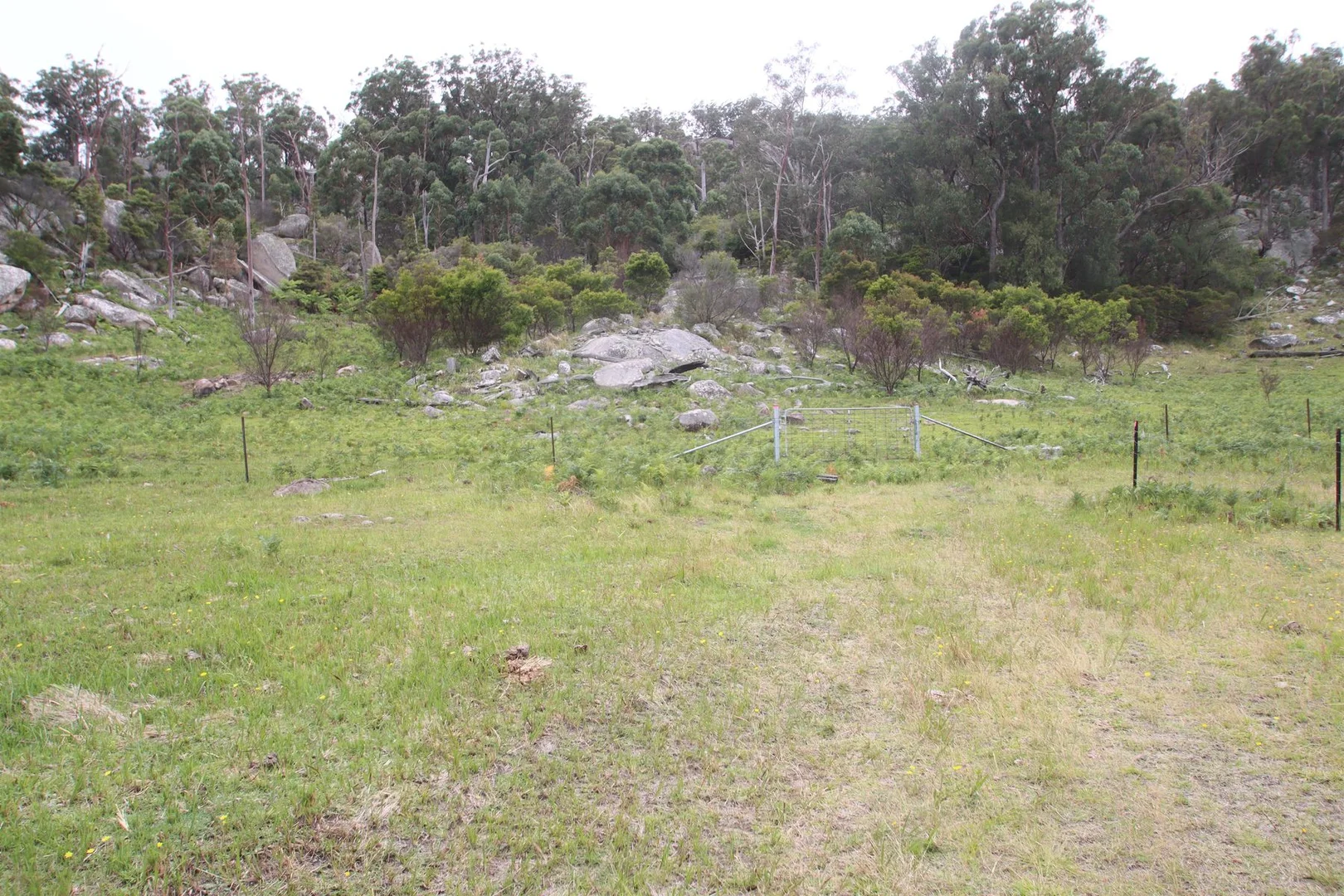 Additional image 10 of Lot 22 Kildare Road, Tenterfield NSW 2372