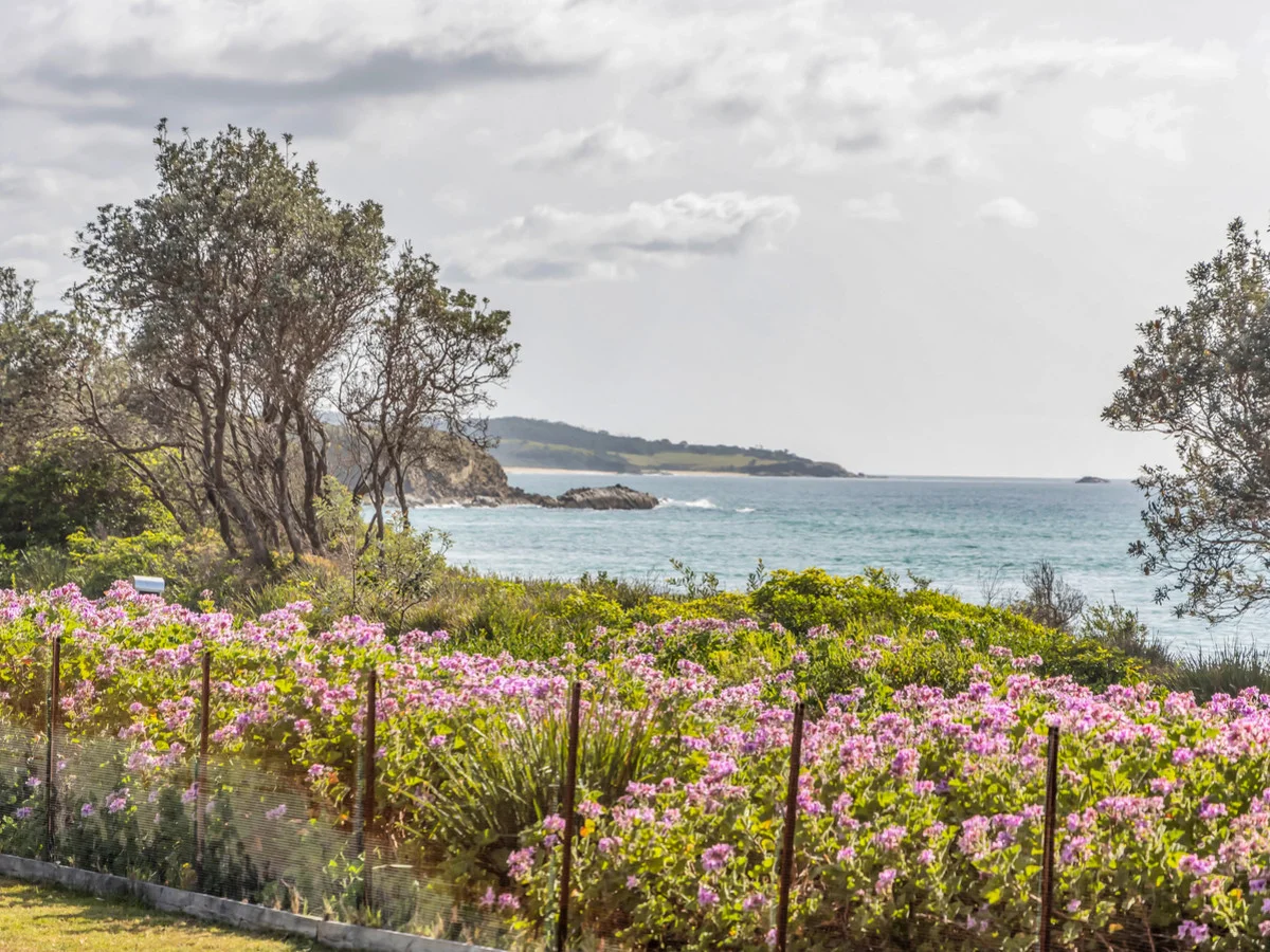 Additional image 18 of 3599 Tathra-Bermagui Road, Bermagui NSW 2546