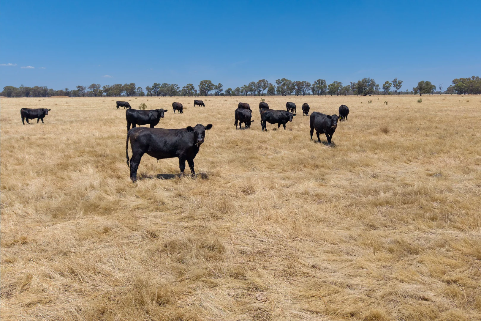 Additional image 10 of Lot 32/646 Hallens Road, Norong VIC 3682